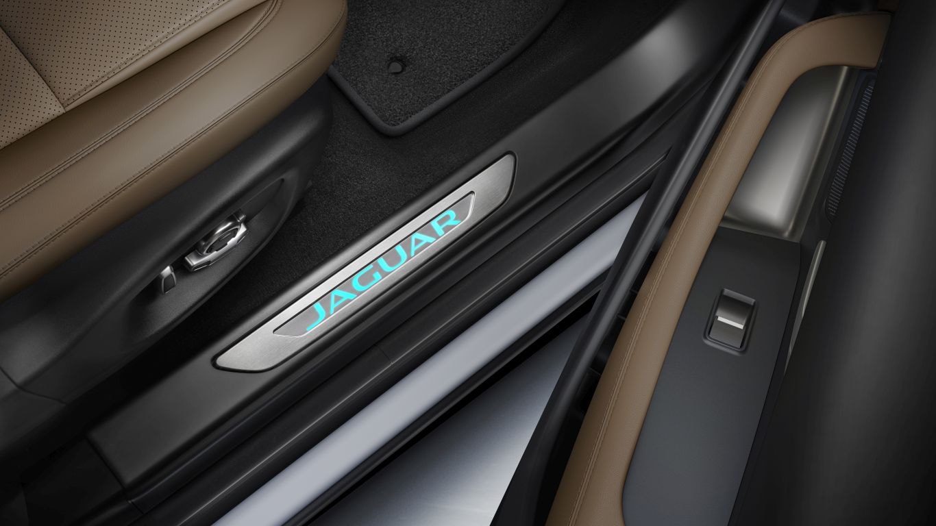 迎宾踏板 - 带照明功能，黑檀木色，右侧，2021 年款及后续车型均可配备 image