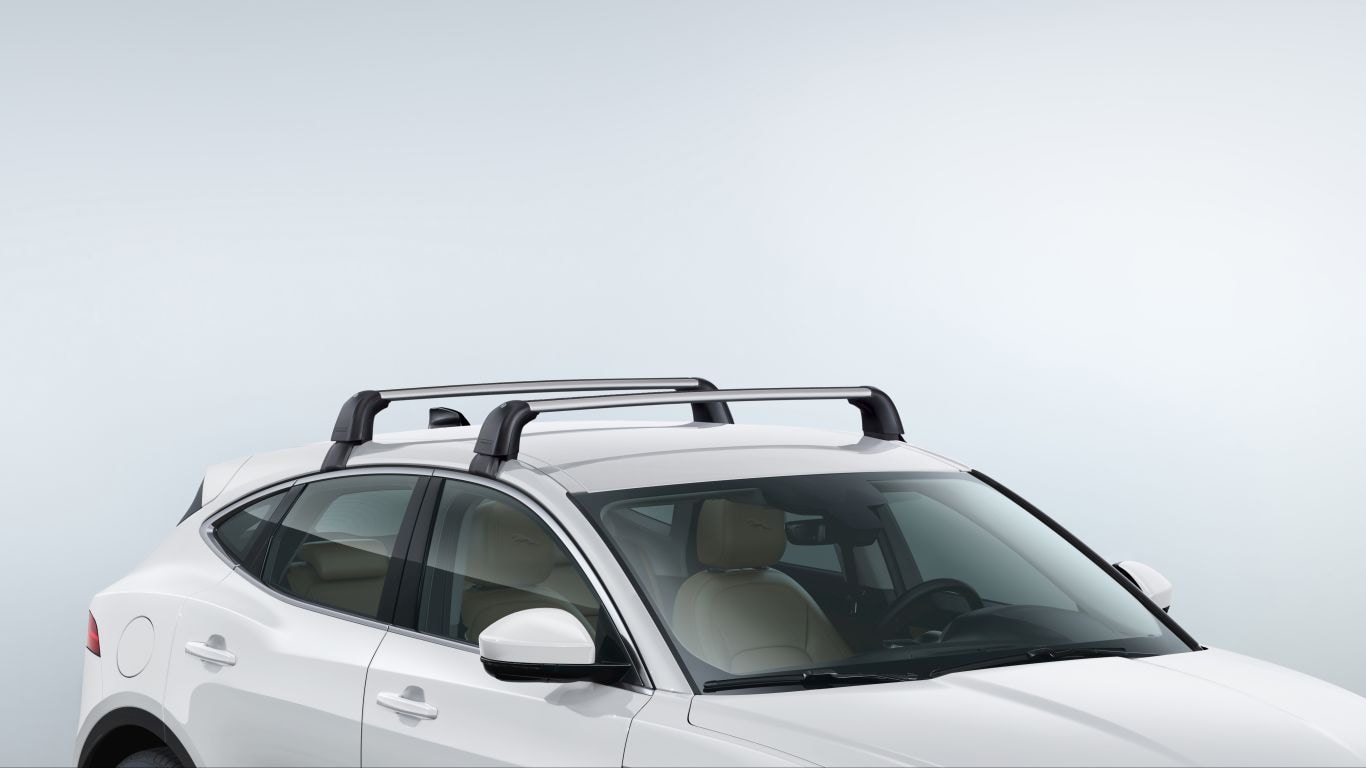Roof Cross Bars -  with Factory Fitted Roof Rails image
