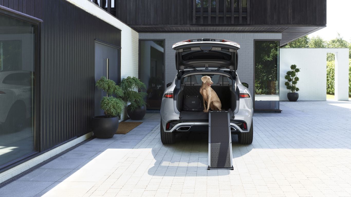 Pet Care and Access Pack - PHEV - Para 21MY en adelante image