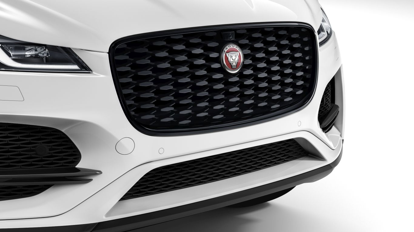 Gloss Black Grille Insert and Surround