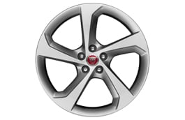 19-дюймовый легкосплавный колесный диск Fan c пятью спицами и отделкой Silver image