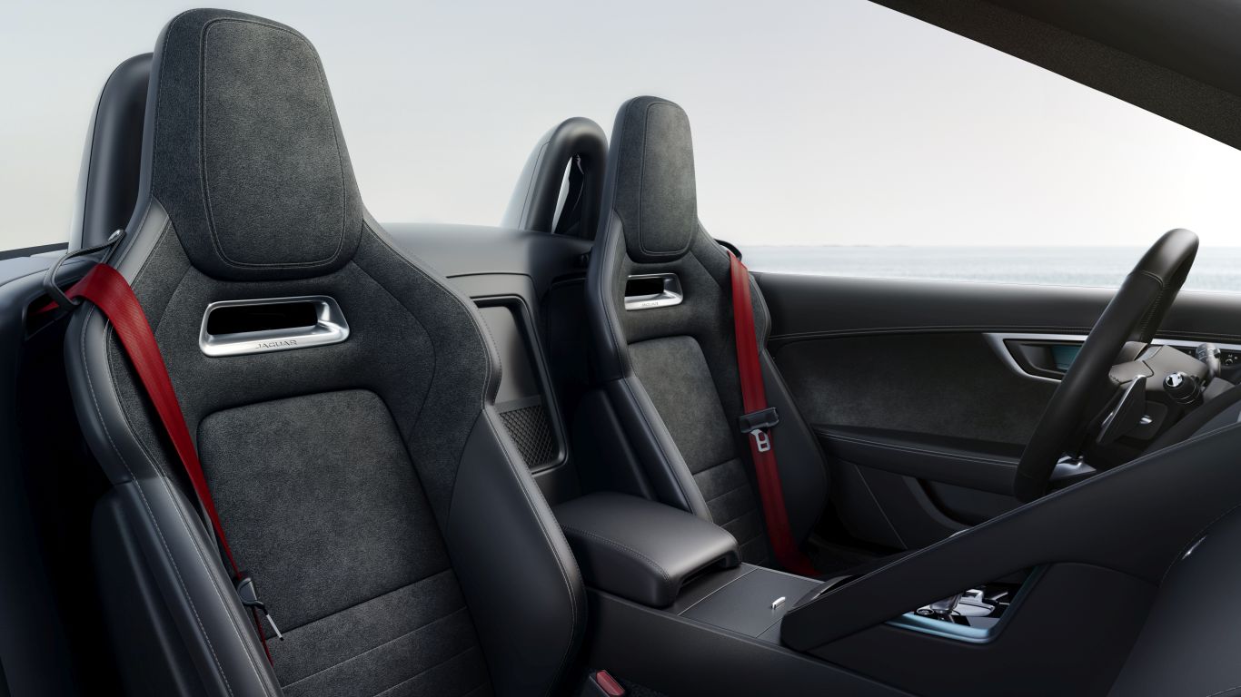 Seatbelt - Red, Left Side image