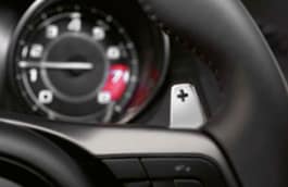 Bright Aluminium Gearshift Paddles, Automatic only image