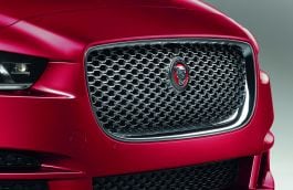 Grille - Chrome image