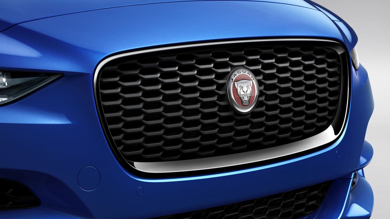Grille - Gloss Black image