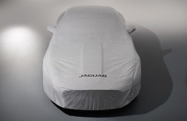 All-Weather Car Cover image